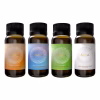Aizoa Bundle - 50ml